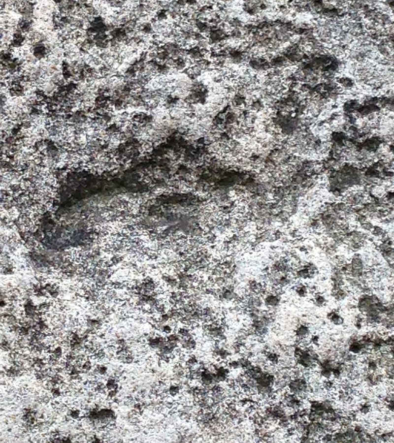 Circle